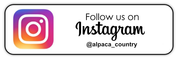 Alpaca Oosterhout Instagram