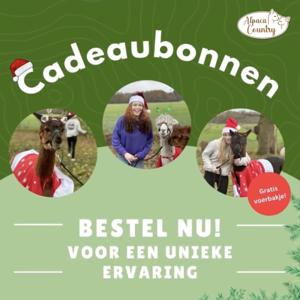 kerstcadeaubonnen