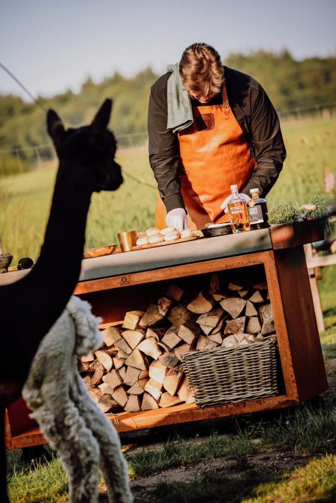 zomer bbq alpaca country