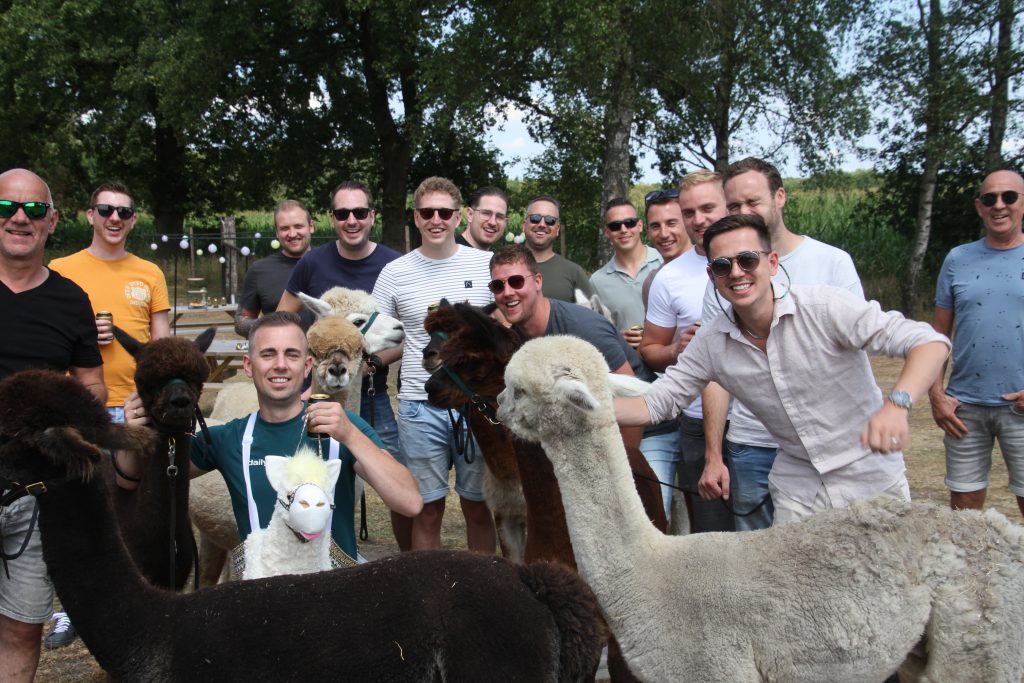 bedrijfsuitje alpaca boerderij