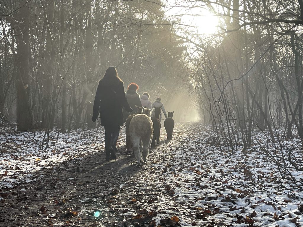 winterse wandeling