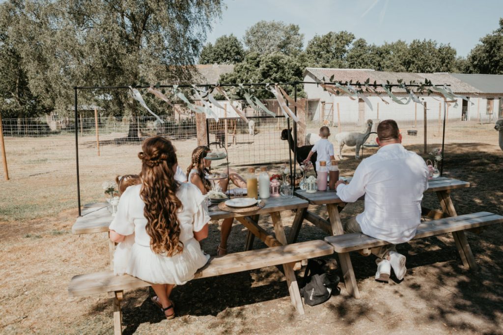 alpaca picknick