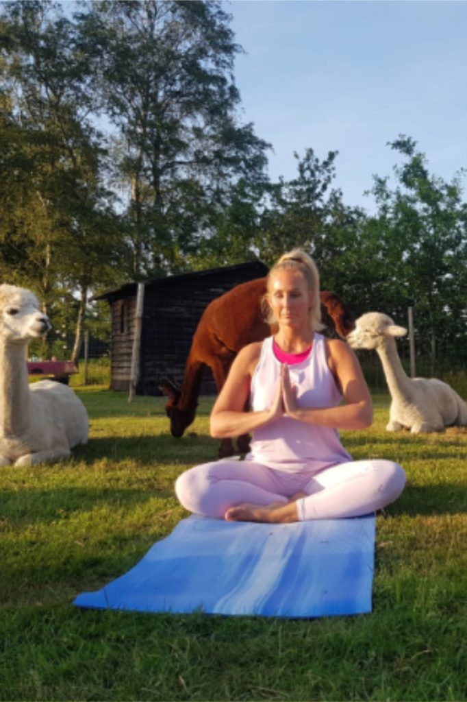 alpaca yoga